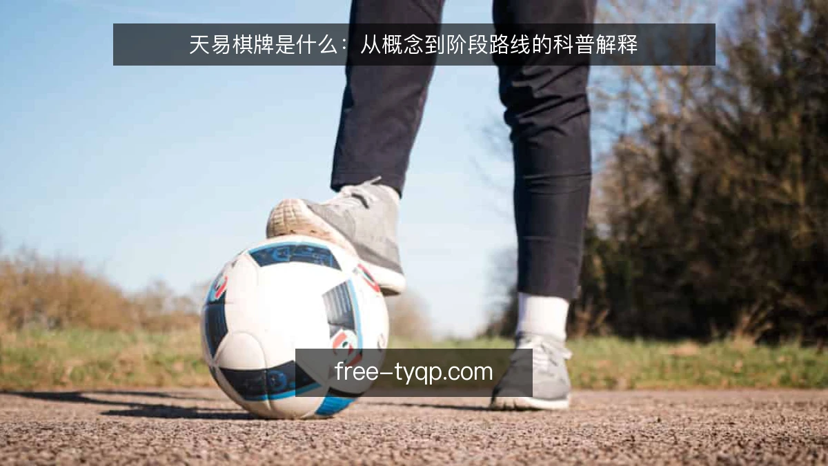 天易棋牌是什么:从概念到阶段路线的科普解释